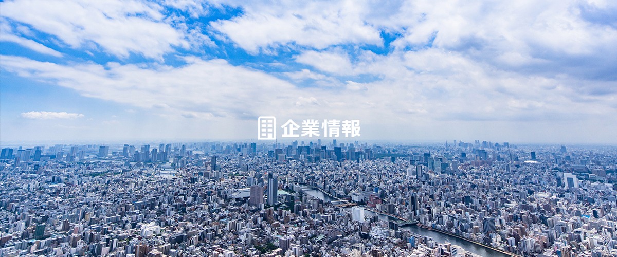 企業情報